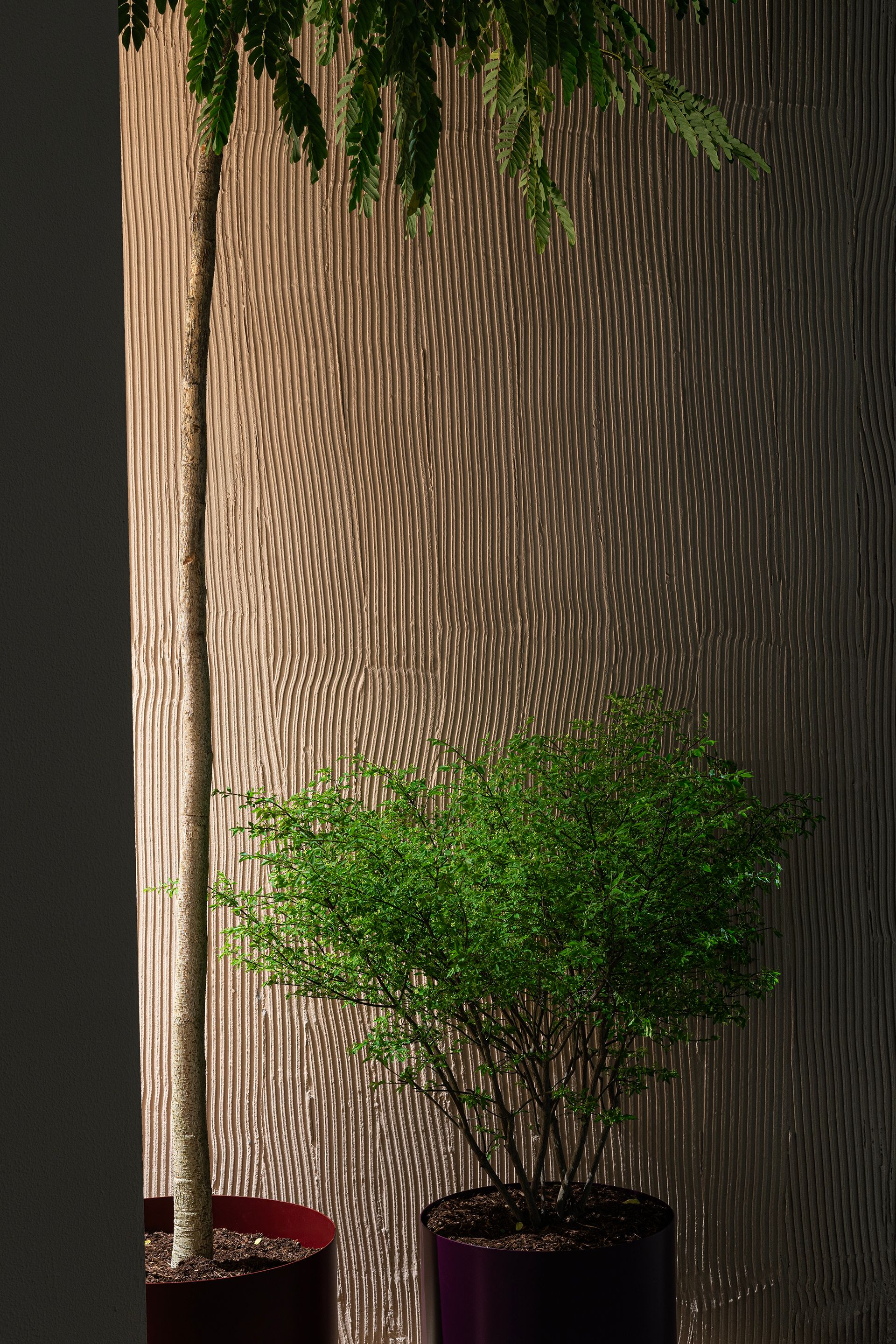 Binocle - Potocco Stand 2025 - Image 10