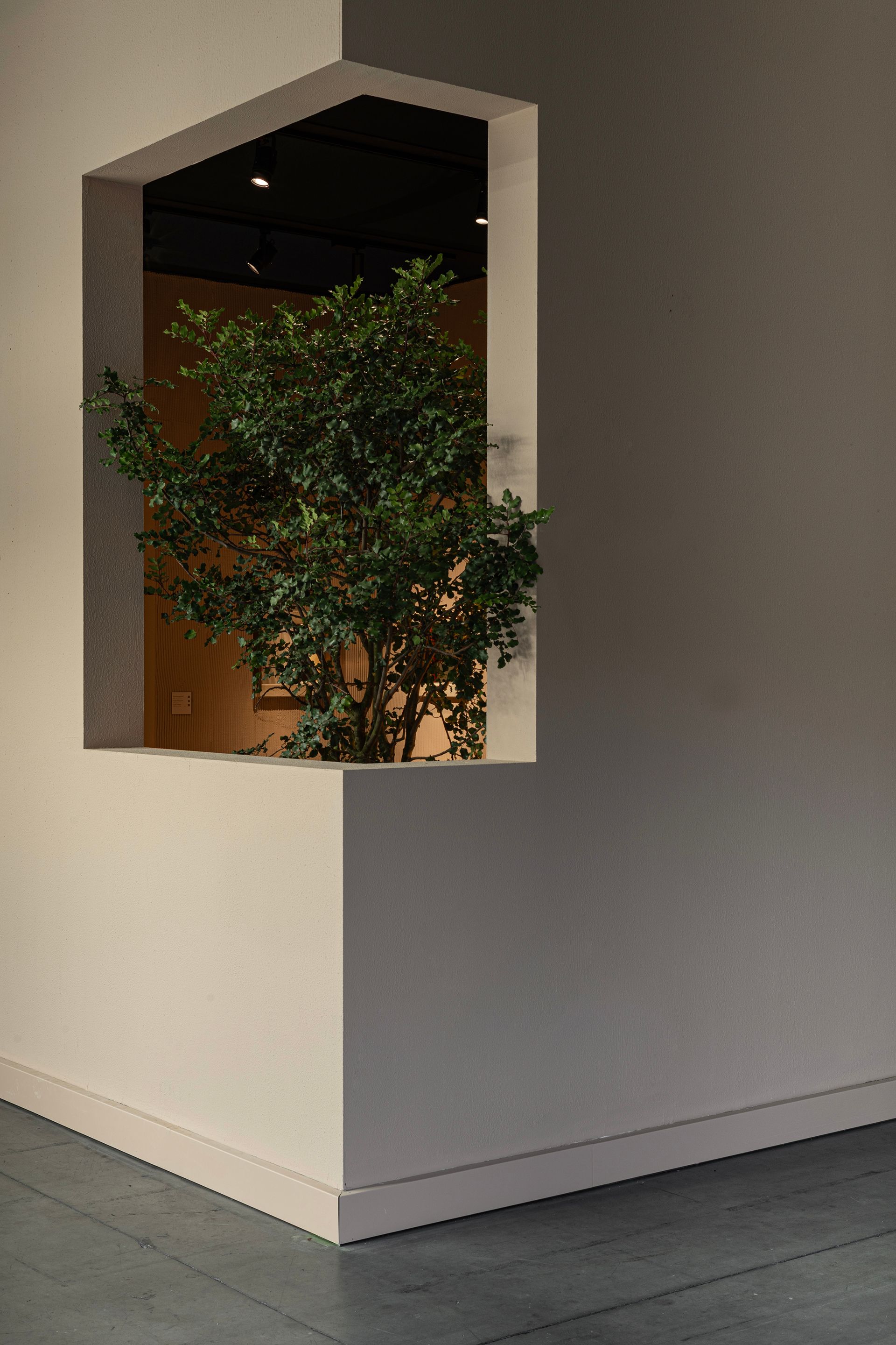 Binocle - Potocco Stand 2025 - Image 11