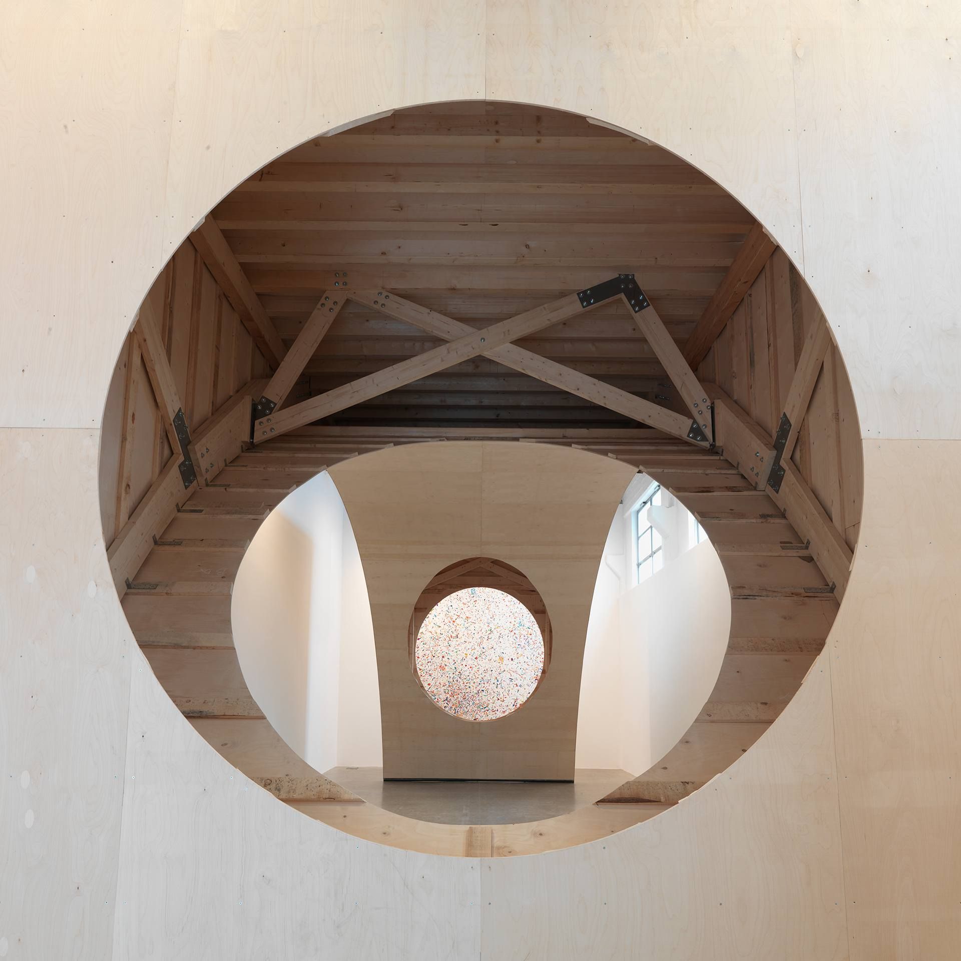 Binocle - Dan colen show - TLDR