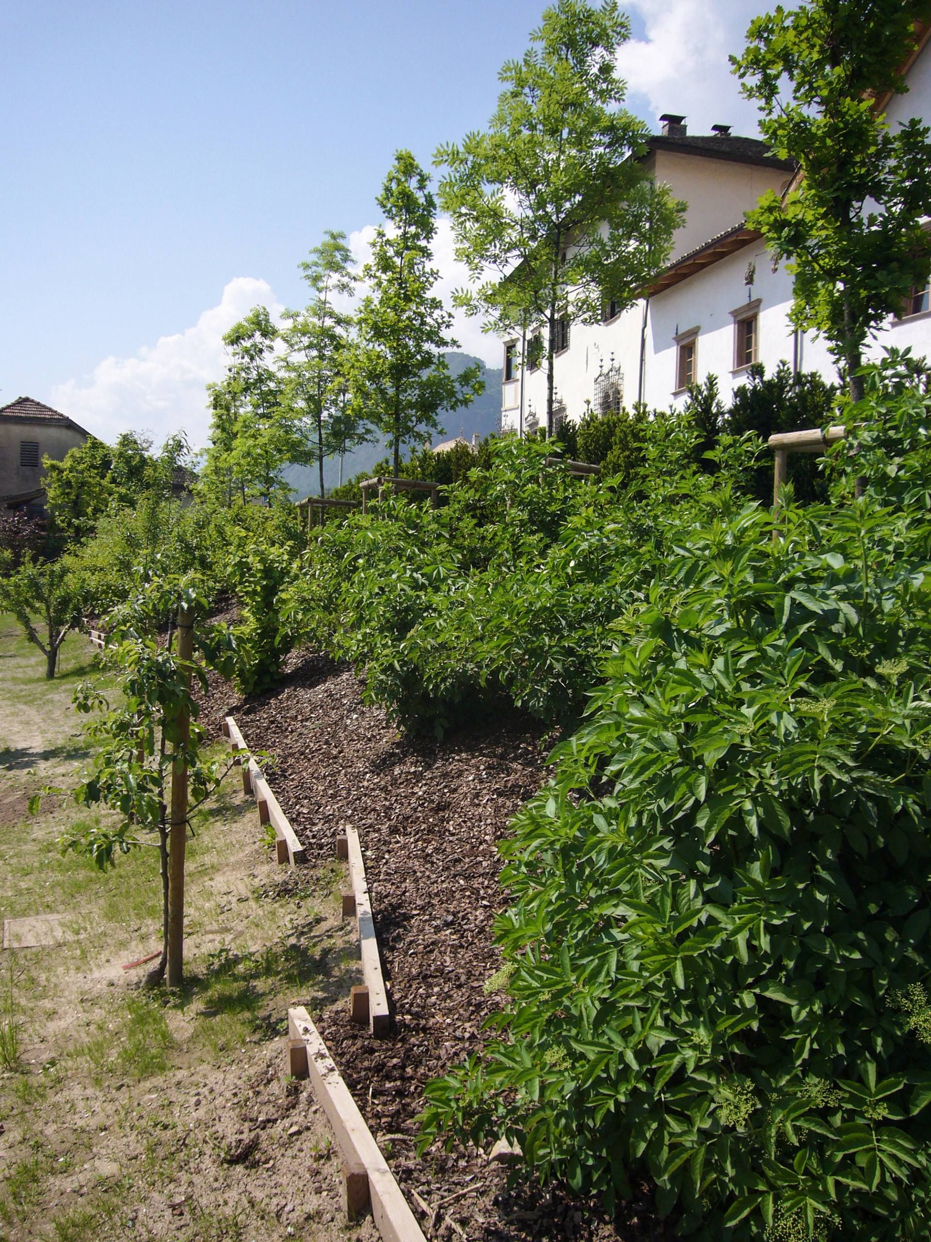 Binocle - Gardens h e - Image 12