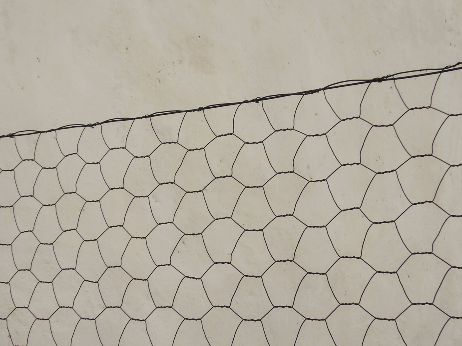 Binocle - Gardens h e - Image 16