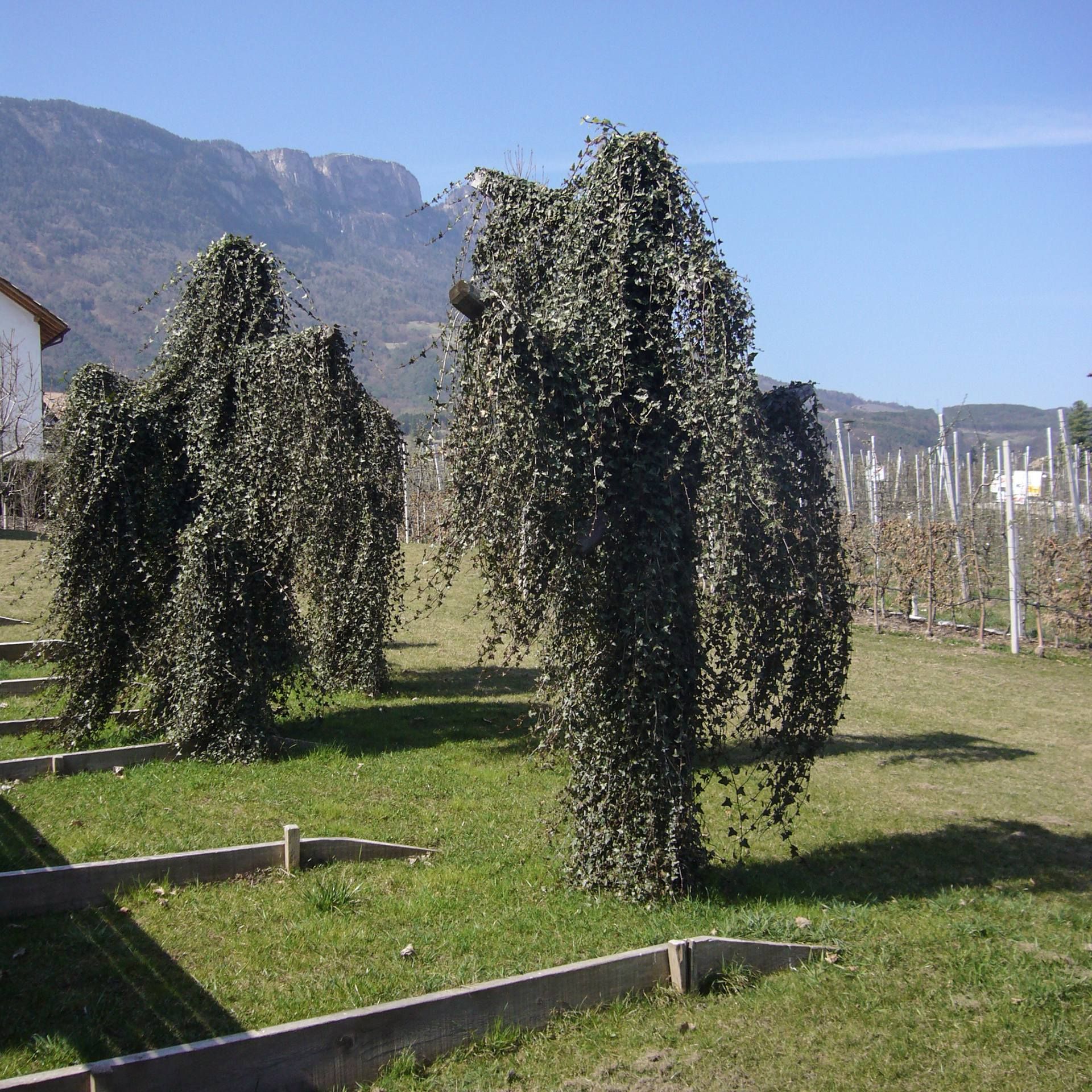 Binocle - Gardens h e - Image 19