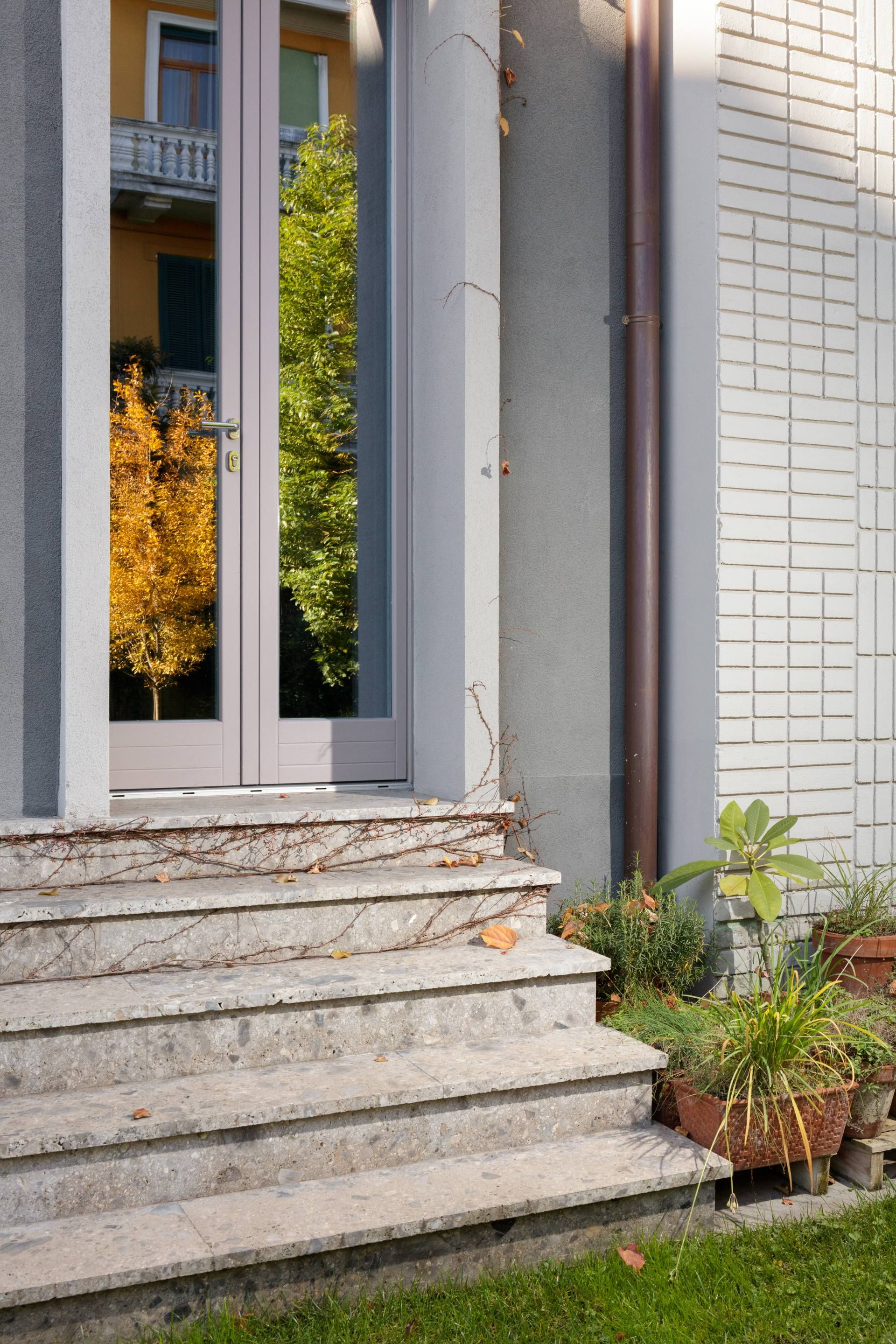 Binocle - House b m - Image 7