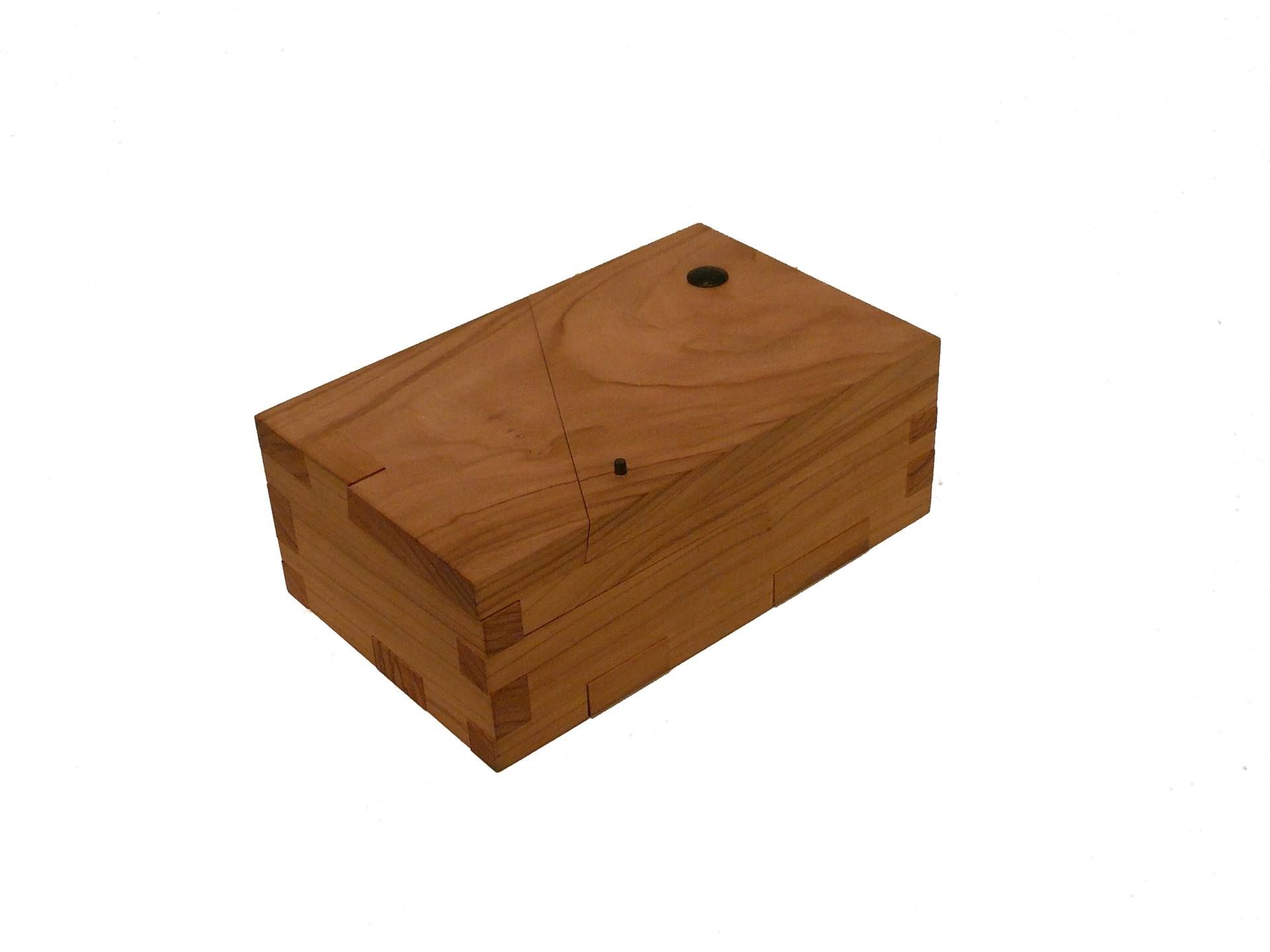 Binocle - Unabox - TLDR