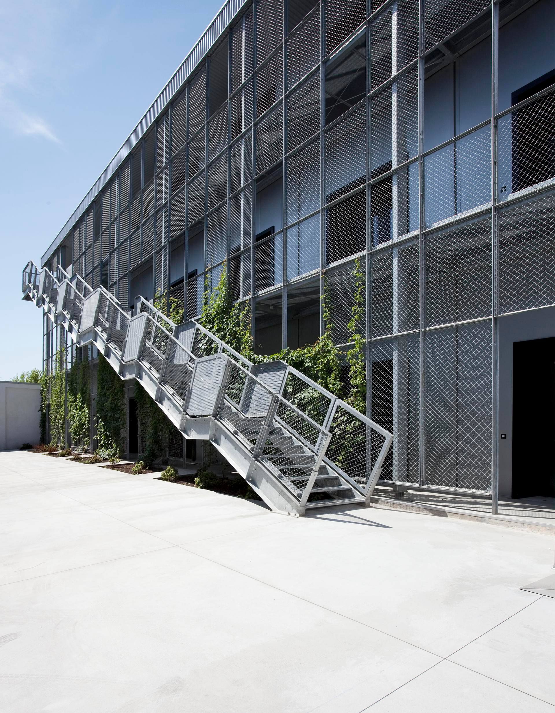 Binocle -Zumbini offices - TLDR
